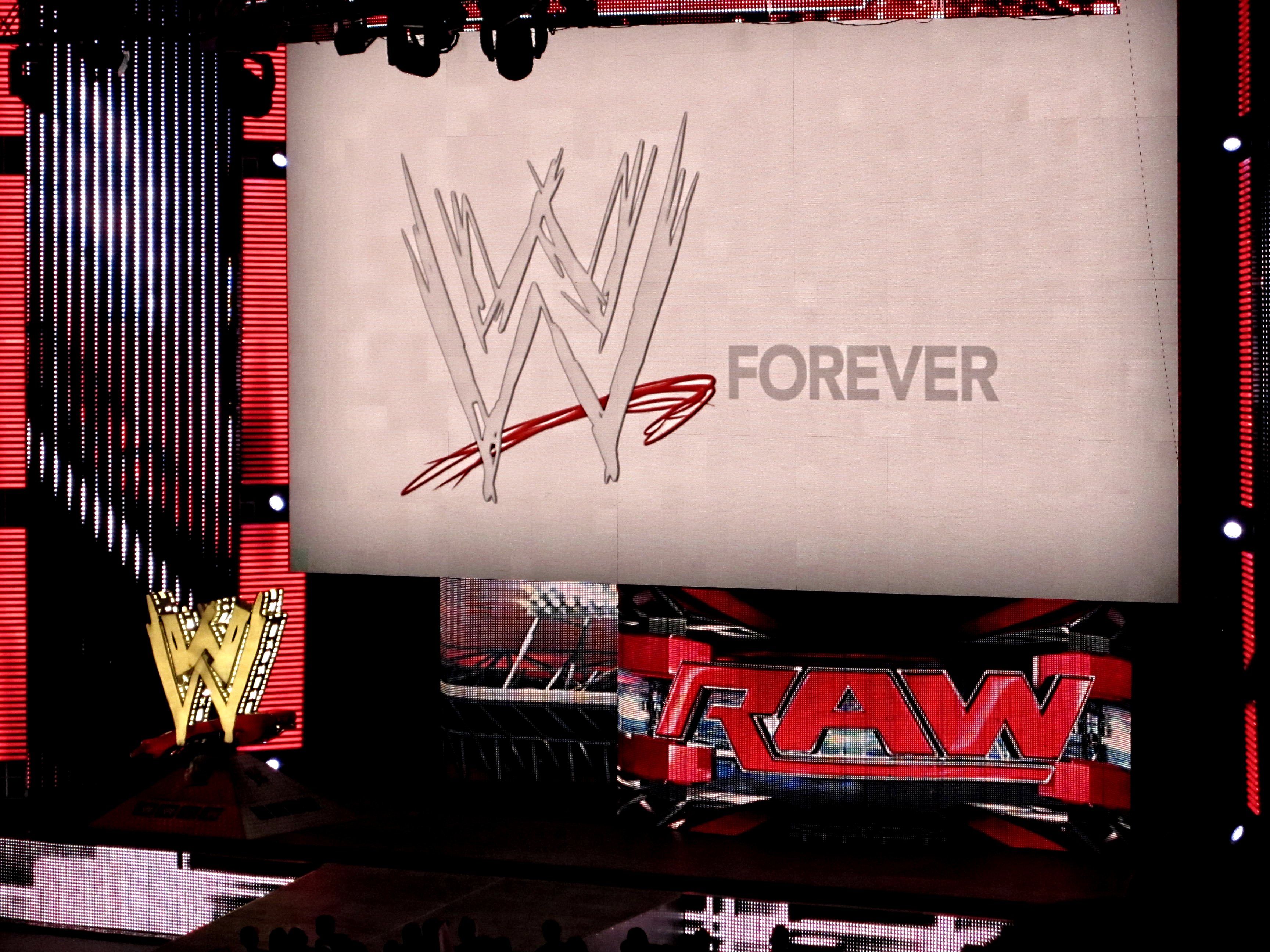 Raw (Hartford 2013)